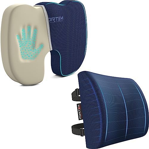 Blue mesh seat cushion with backrest